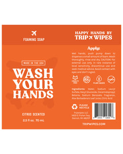 Foam Hand Soap (Set of 2)